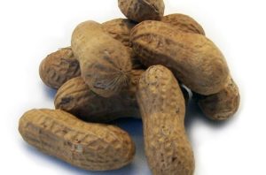 Peanuts in shell - 1lb package