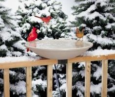 Heated 4 Season Bird bath-20"