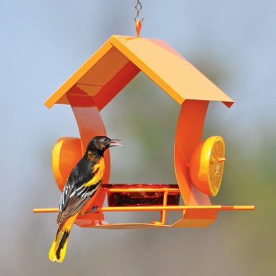 Oriole Feeder