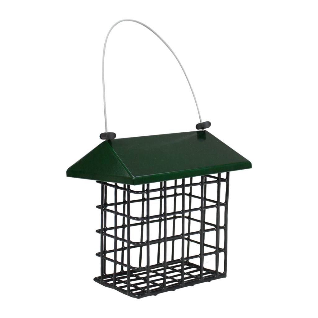 Double Suet Feeder – The Avant-Garden Shop